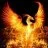 Fenix